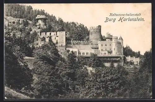 AK Weinzierl am Walde, Kaltwasserheilanstalt Burg Hartenstein