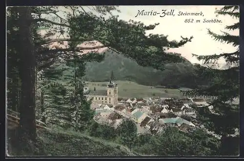 AK Maria-Zell /Steiermark, Ortsansicht vom Berg aus