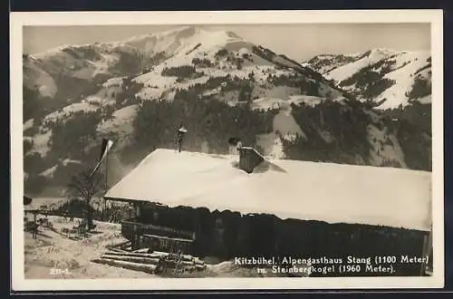 AK Kitzbühel, Alpengasthaus Stang mit Steinbergkogel