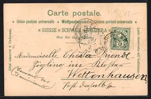 Lithographie Vevey, le quai, Vue generale, la Dent du Midi