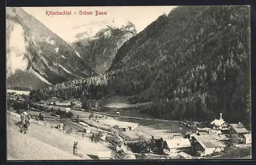 AK Bad Gastein, Grüner Baum im Kötschachtal