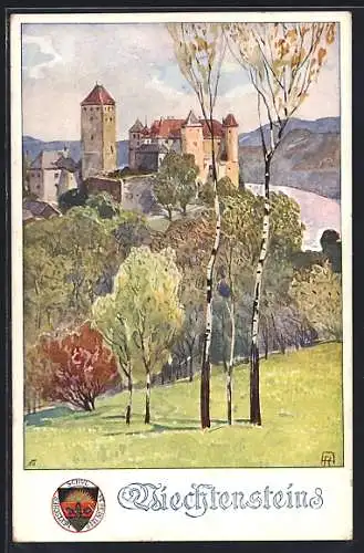 Künstler-AK Deutscher Schulverein Nr. 296: Viechtenstein, Blick zur Burg