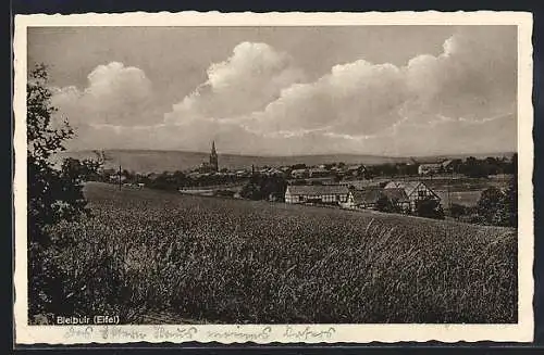 AK Bleibuir /Eifel, Ortsansicht vom Feld aus