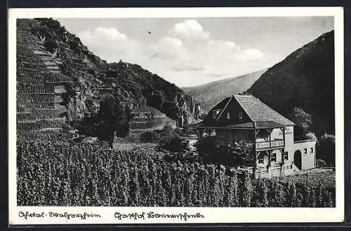 AK Walporzheim, Gasthof Bauernschenke