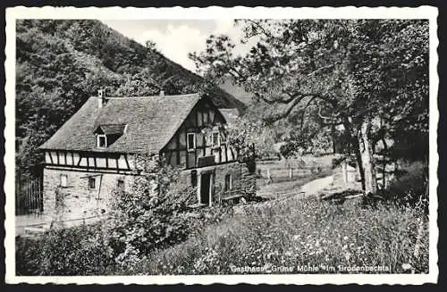 AK Brodenbach, Gasthaus Grüne Mühle