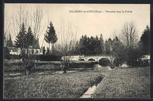 AK Tillières-sur-Avre, Vue prise dans la Prairie