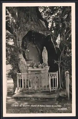 AK La Haye-de-Routot, If Notre-Dame de Lourdes dans un arbre millénaire