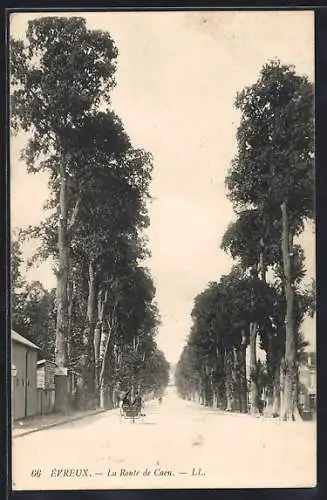 AK Évreux, La Route de Caen avec une allée d`arbres et une calèche