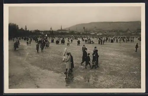 AK Zürich, Die Zürichseegfrörne 1929, Eisstoss