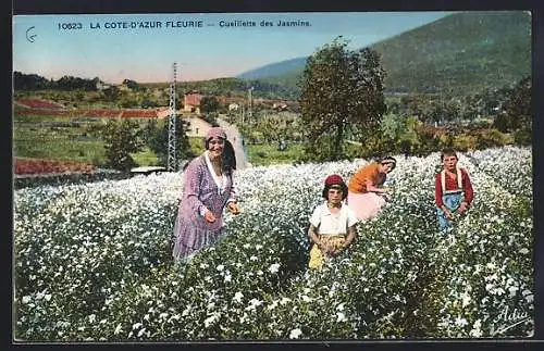 AK La Côte d`Azur Fleurie, Cueillette des Jasmins, Frauen pflücken Blumen