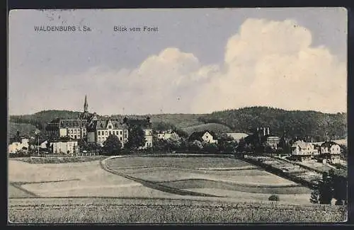 AK Waldenburg / Sachsen, Ortsansicht vom Forst aus