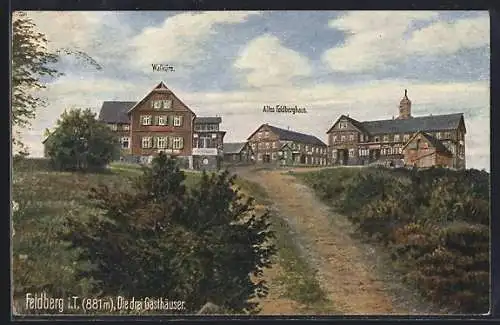 Künstler-AK Feldberg i. T., Gasthäuser Walküre und Altes Feldberghaus