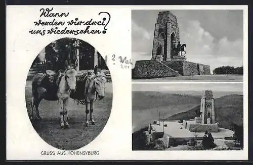 AK Hohensyburg, Denkmal, Zwei Esel