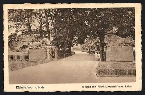 AK Kleinheubach a. Main, Eingang zum Fürstl. Löwenstein`schen Schloss