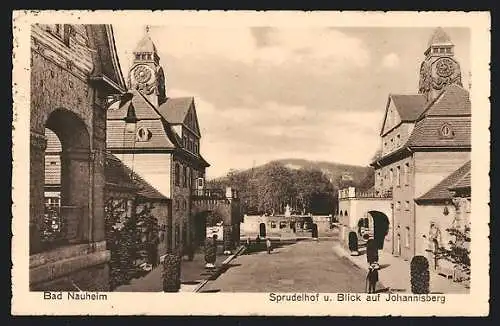 AK Bad Nauheim, Sprudelhof und Blick auf Johannisberg