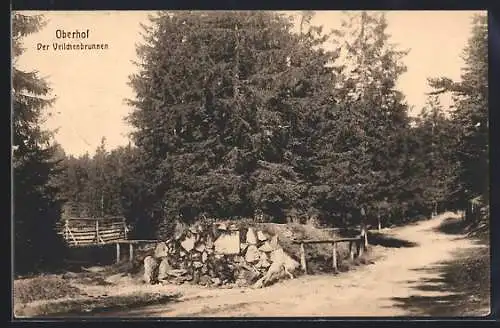 AK Oberhof / Thüringen, Veilchenbrunnen