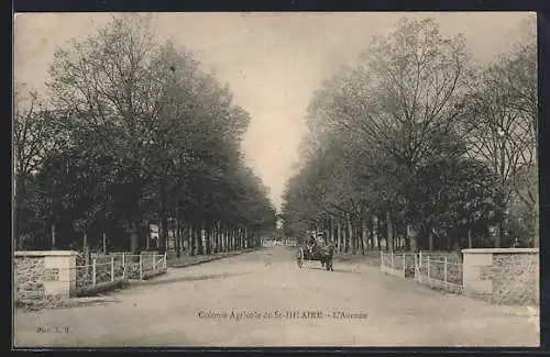 AK Saint-Hilaire, L`Avenue de la Colonie Agricole