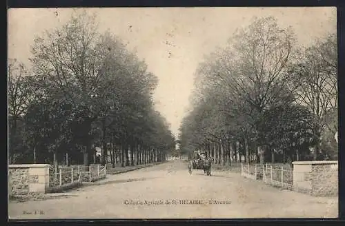 AK Saint-Hilaire, L`Avenue de la Colonie Agricole avec calèche