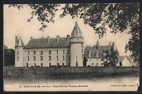 AK Écuillé, Château du Plessis-Bourré vue du parc