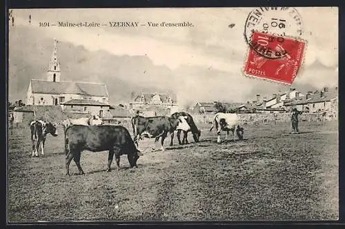 AK Yzernay, Vue d`ensemble avec église et troupeau de vaches