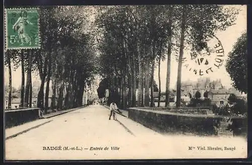 AK Baugé, Entrée de Ville avec allée bordée d`arbres