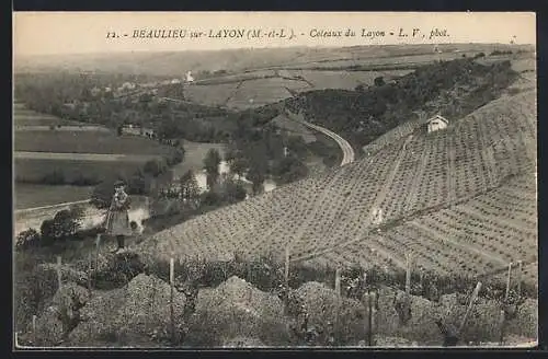 AK Beaulieu-sur-Layon, Coteaux du Layon avec vue sur les vignobles et la vallée