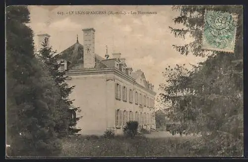 AK Le Lion-d`Angers, Vue de la résidence Les Hommeaux entourée d`arbres