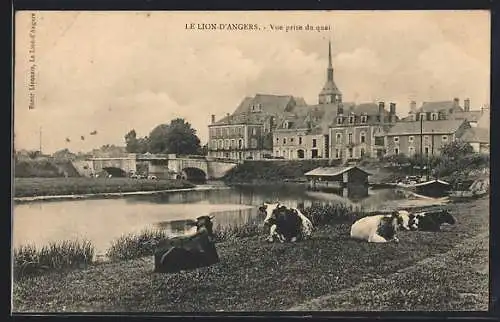 AK Le Lion-d`Angers, Vue prise du quai avec vaches au bord de la rivière