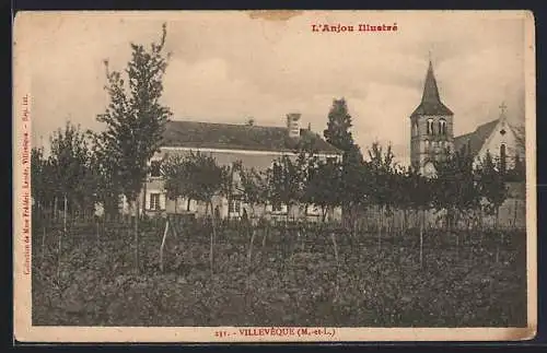 AK Villevêque, Vue de l`église et des vignes en premier plan