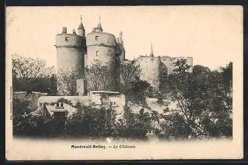 AK Montreuil-Bellay, Le Château