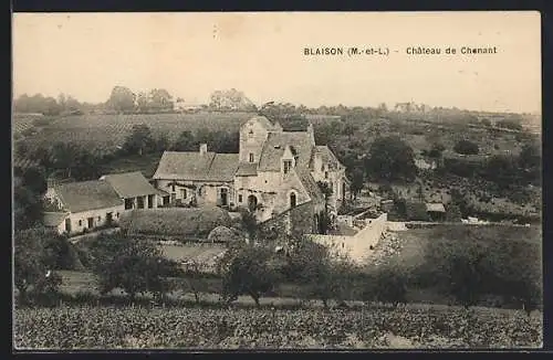 AK Blaison, Château de Chenant et ses environs verdoyants