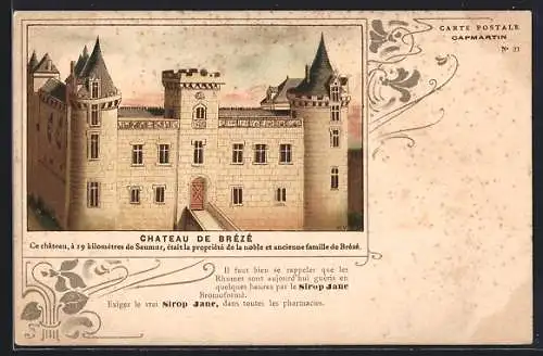 AK Brézé, Château de Brézé à 19 km de Saumur, propriété de la famille de Brézé