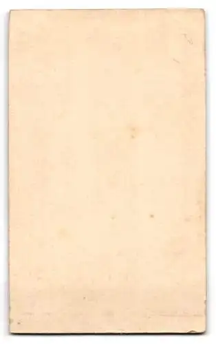 Fotografie A. Spitzer, Cottbus, Kaiser Friedrich Str. 26, Porträt einer Dame