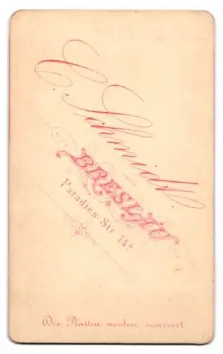 Fotografie C. Schmidt, Breslau, Paradies Str. 14, Sitzende Frau mit Buch