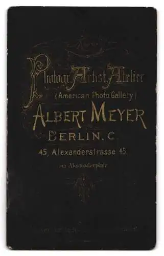 Fotografie Albert Meyer, Berlin, Alexanderstrasse 45, Porträt einer Frau in tailliertem Kleid