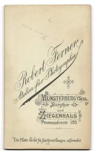 Fotografie Robert Ferner, Münsterberg, Burgthor, Porträt eines eleganten Herrn