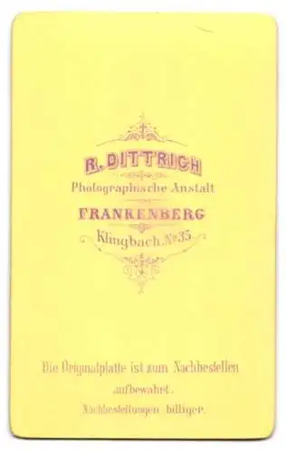 Fotografie R. Dittrich, Frankenberg, Klingbach Nr. 35, Kleinkind in elegantem Sessel