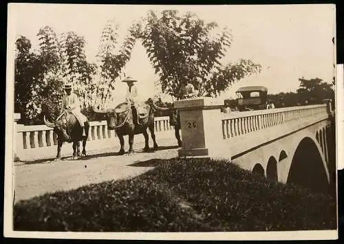 Fotografie Schostal, Ansicht Philippinen, Insulaner auf Büffel reitend begegnen einem Auto