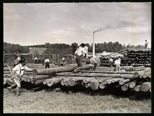 Fotografie Wilhelm Sturm, Ansicht Lenzing, Zellwolle Lenzing AG, Langholz wird aufgestapelt 1938