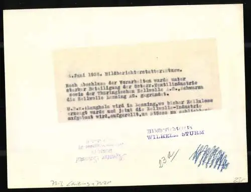 Fotografie Wilhelm Sturm, Ansicht Lenzing, Zellwolle Lenzing AG, Langholz wird aufgestapelt 1938