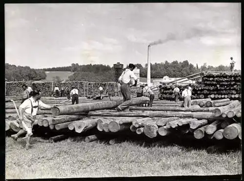 Fotografie Wilhelm Sturm, Ansicht Lenzing, Zellwolle Lenzing AG, Langholz wird aufgestapelt 1938