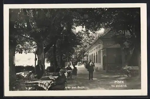 AK Pisek, Na plovárne, Restaurant