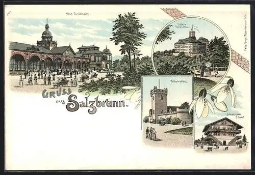 Lithographie Bad Salzbrunn, Neue Elisenhalle, Schloss Fürstenstein, Wilhelmshöhe, Schweizerei Idahof