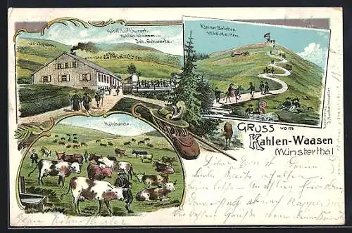 Lithographie Kahler Waasen /Münsterthal, Hotel, Kuhherde und kleiner Belchen