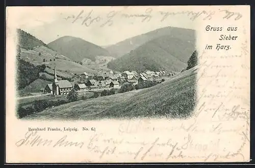 AK Sieber im Harz, Ortsansicht von einen Berg aus