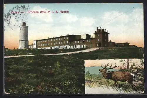 AK Brocken, Ortspartie mit Aussichtsturm