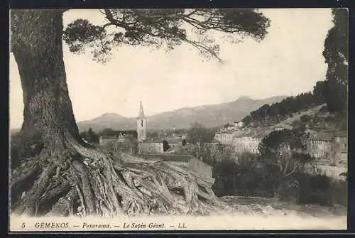 AK Gémenos, Panorama, Le Sapin Géant