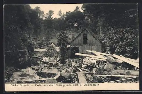 AK Amselgrund /Sächs. Schweiz, Ortspartie nach dem Wolkenbruch