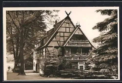 AK Pötzscha, Gasthof Bauernhäusl, Hotel und Restaurant