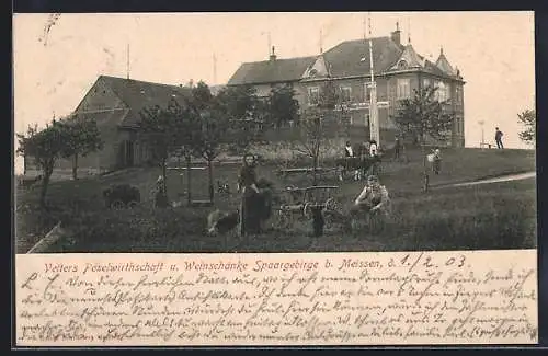 AK Meissen, Gasthaus Vetters Poselwirthschaft u. Weinschänke Spaargebirge, Gesamtansicht von einer Wiese aus